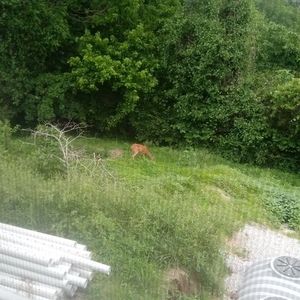 Meet your Posher, Logan